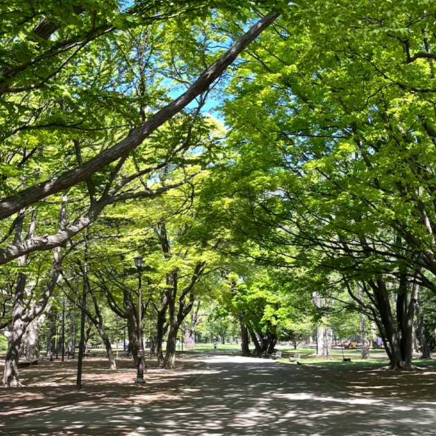 地下鉄東西線「円山公園」駅からすぐ